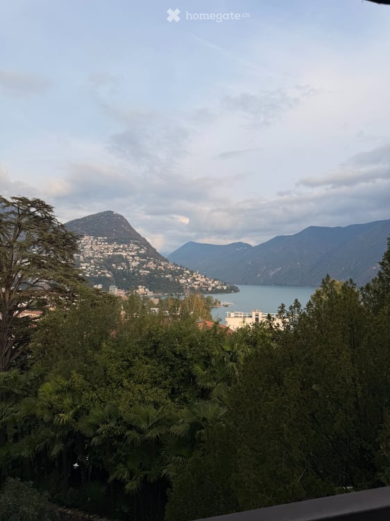 Ampio 1.5 locali con terrazza Vista Lago e Posteggio Incluso 1