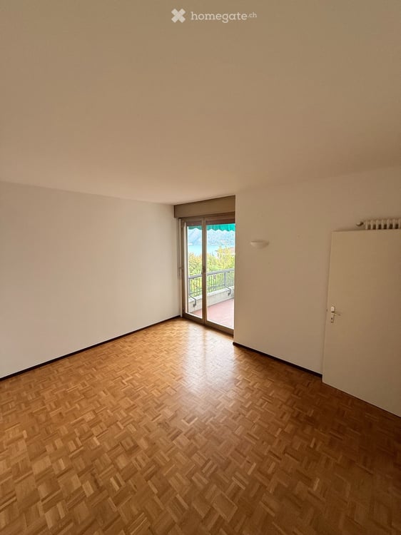 Ampio 1.5 locali con terrazza Vista Lago e Posteggio Incluso 8