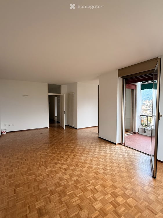 Ampio 1.5 locali con terrazza Vista Lago e Posteggio Incluso 3