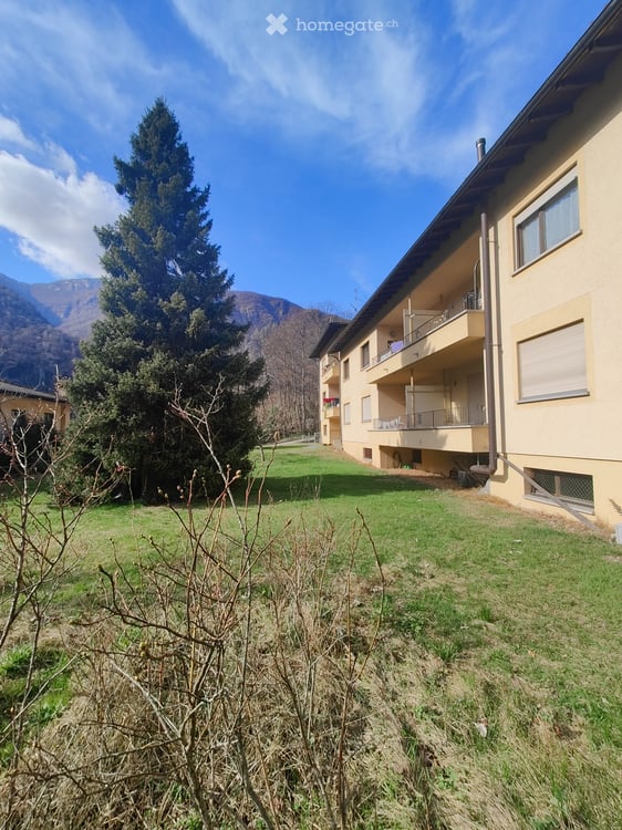 Appartamento nel verde a soli 5 minuti da Locarno 1
