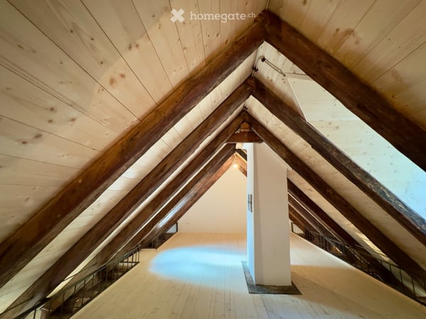 Erstbezug Dachwohnung Loft mit Galerie 3