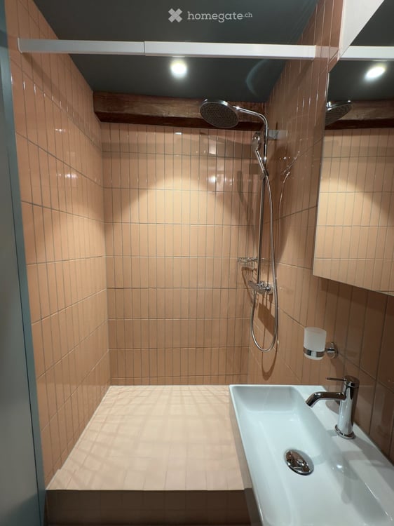 Erstbezug Dachwohnung Loft mit Galerie 5