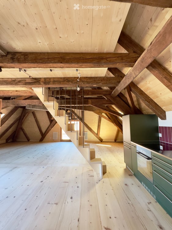 Erstbezug Dachwohnung Loft mit Galerie 1