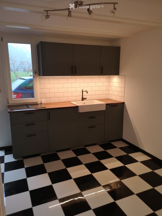 Wohnung / Studio zu vermieten 1