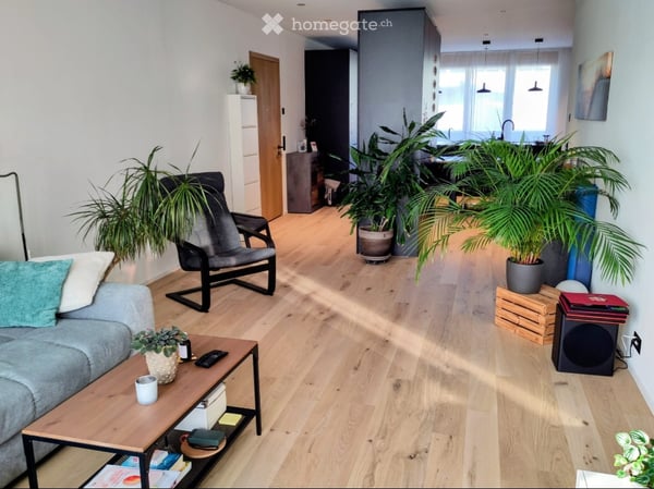 Helle, grosszügige 2,5-Zimmer-Attika-Wohnung 1