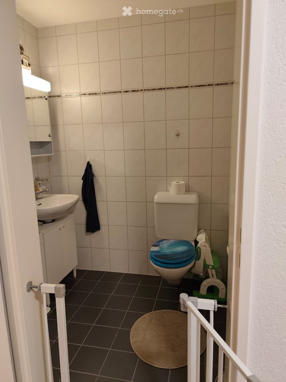 2.5 Zimmerwohnung im Erdgeschoss mit Terasse 4