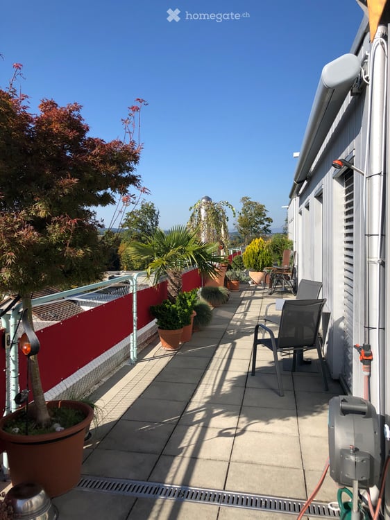 Zimmer in besonderer 3er-WG Zuhause statt Zweck-WG 2