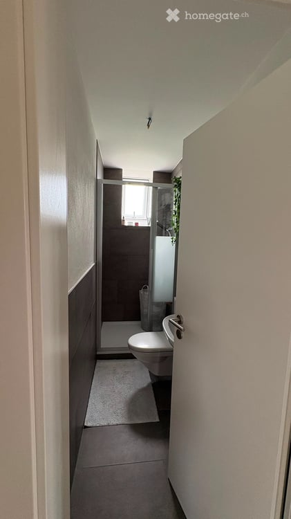 5 1/2 Zimmer EFH Nachmieter gesucht Miete inkl. Nebenkosten 5