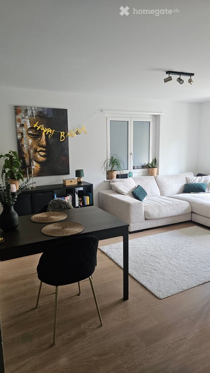 Furnished 3 room apartment - Nov/Dec 1