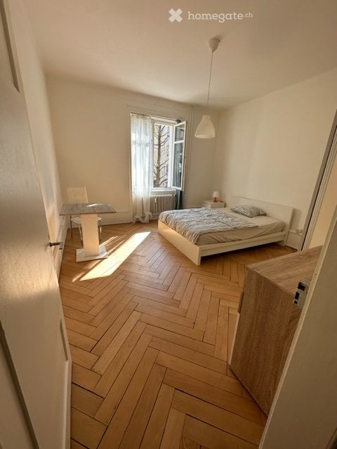 Grosses, möbliertes WG Zimmer Basel, St. Johann 1