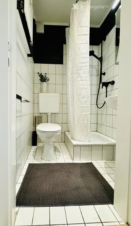 Wohnung mit 3 zimmern im Zentrum Zürich 5