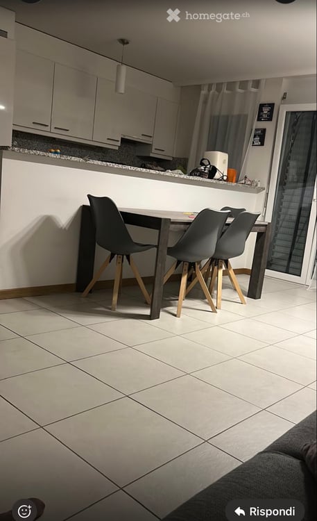Subentrante appartamento con giardino Ascona 1