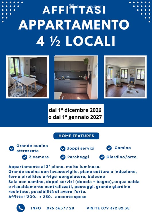 Ludiano appartamento molto luminoso 4.5 locali con camino 2