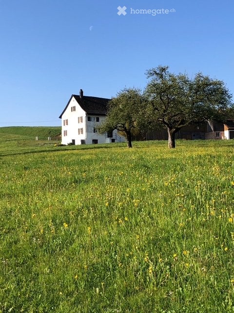 Idyllisches 6.5 Zimmer Bauernwohnhaus Hirzel 1