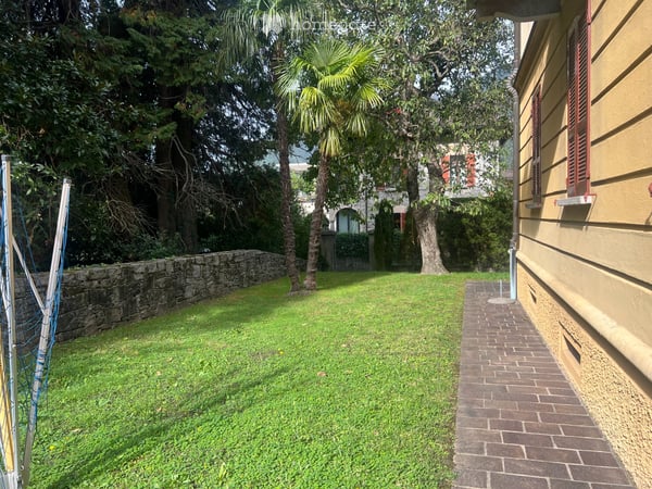 Bellinzona.Ravecchia,4.5 PT con giardino 5