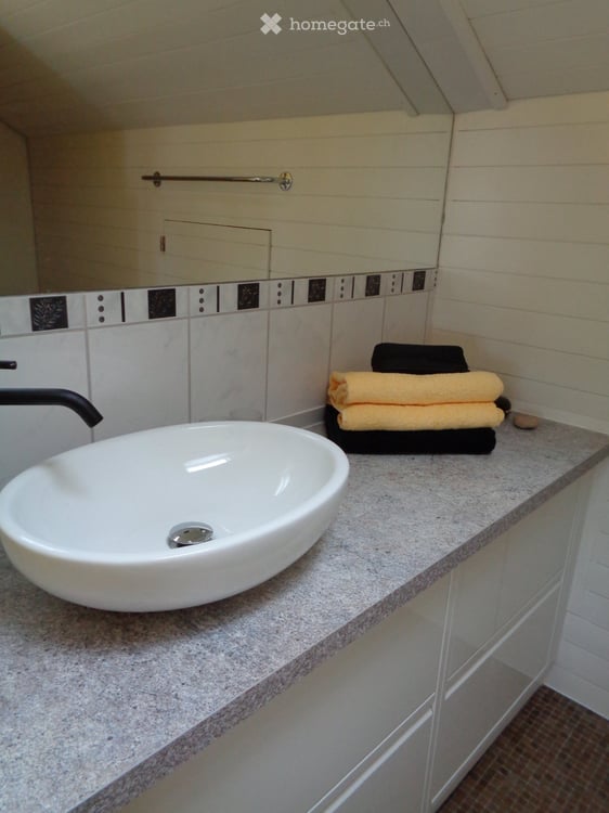 Grosswohnung 5