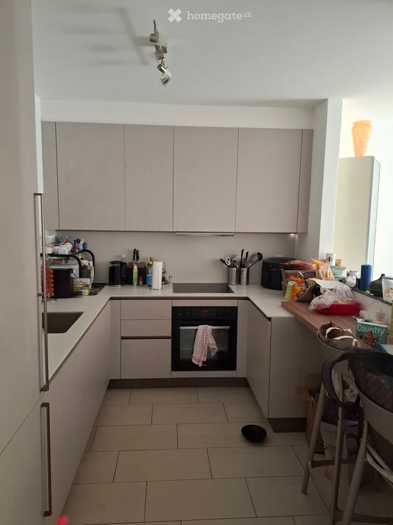 Appartamento 1.5 con posteggio e giardino privato 1