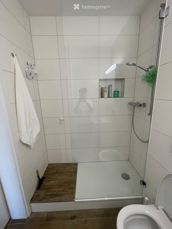 1.5 Zimmer Wohnung 4