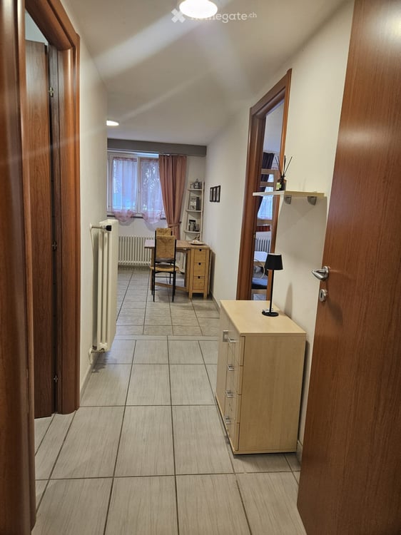 Sementina grazioso bilocale arredato + giardino/orto 4