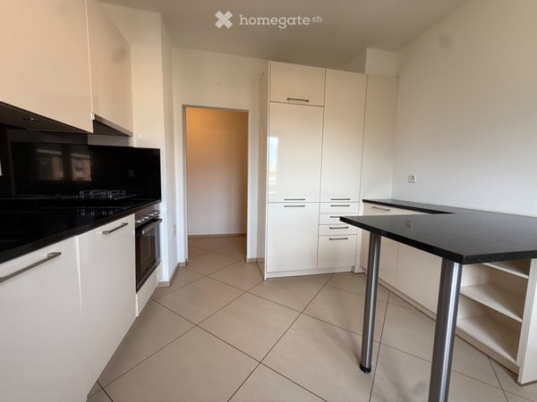 Grande 3.5 locali soleggiato in zona tranquilla 3