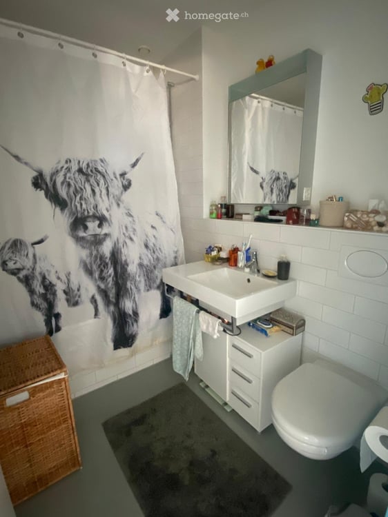 Möblierte 2.5-Zimmer-Wohnung in Bern-Brünnen zur Untermiete 5