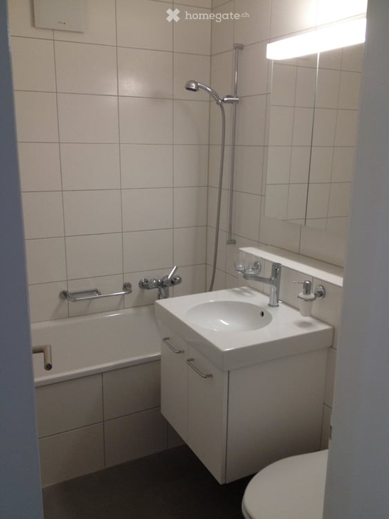 helle und sonnige 2.5-Zi-NR-Dach-Eckwohnung 4