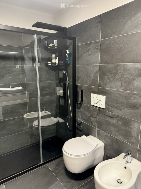 Subentrante per 2.5 a Gnosca (Bellinzona) 2