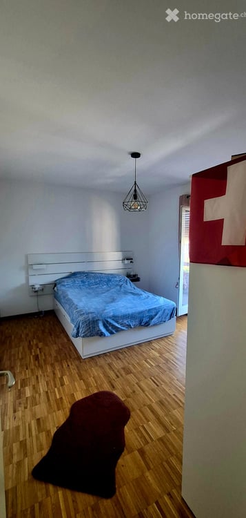 Subentro appartamento arredato 2.5 locali, Massagno 1