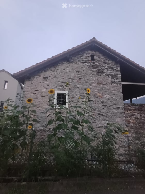 Rustico 3,5 locali / P coperto / Giardino con pergola 5