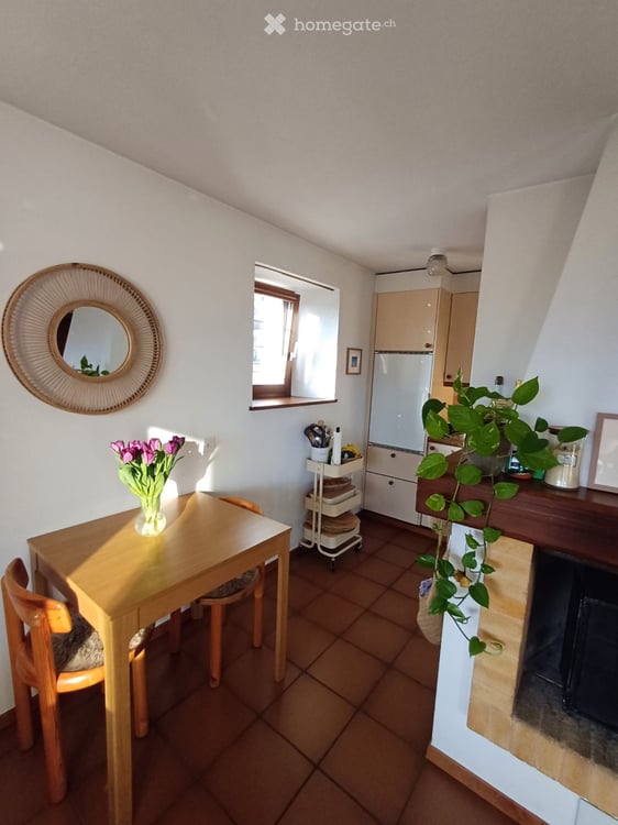 Rustico 3,5 locali / P coperto / Giardino con pergola 2