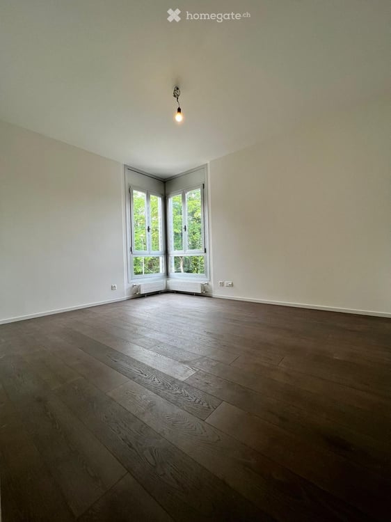 Elegante appartamento completamente rinnovato con vista lago 11