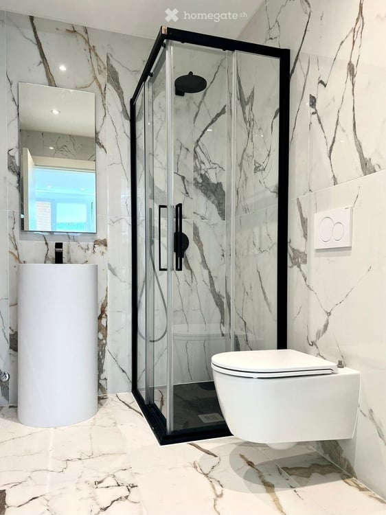 Elegante appartamento completamente rinnovato con vista lago 9