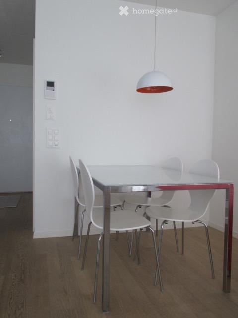 Möblierte und schöne 1-Zimmer Wohnung im Kreis 5 (Zürich) 2
