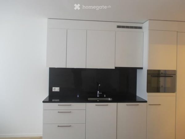 Möblierte und schöne 1-Zimmer Wohnung im Kreis 5 (Zürich) 1