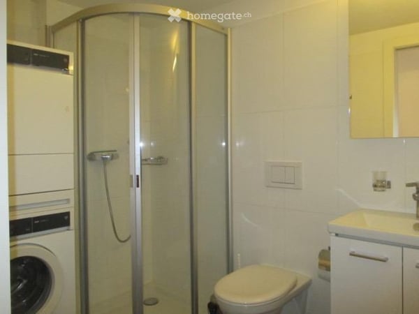 Möblierte und schöne 1-Zimmer Wohnung im Kreis 5 (Zürich) 3