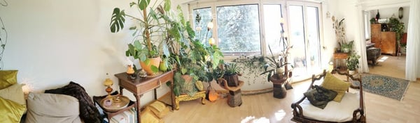 günstige, schöne 2-Zimmer Wohnung mit toller Aussicht 5
