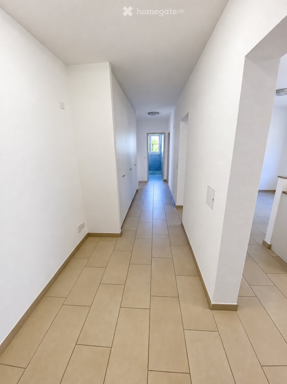 Affittasi 2.5 grazioso appartamento Giornico 3