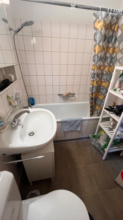 Nachmieter gesucht: helle 1-Zimmer-Wohnung in Birmensdorf ZH 5