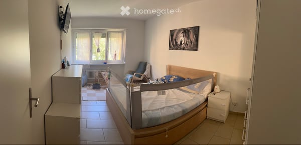 Cerco subentrante 2.5 Bellinzona 3