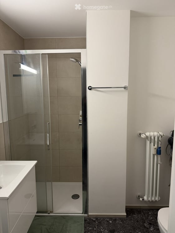 Appartamento 2.5 locali a Lugano Disponibile da Novembre 5