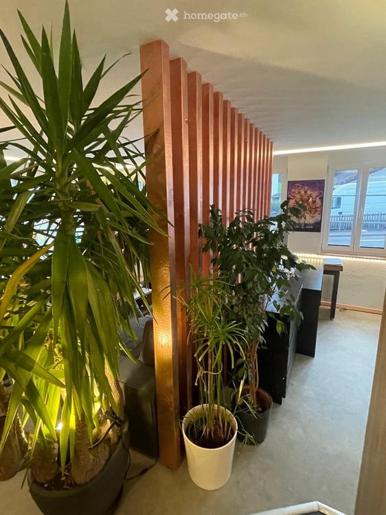 1-Zimmer-Wohnung in Fischenthal 2
