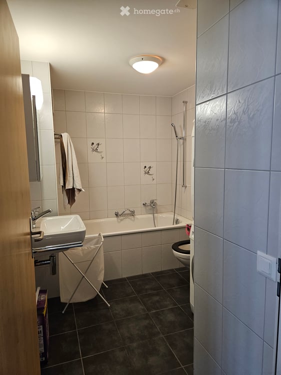 1-Zimmer-Wohnung in Fischenthal 4