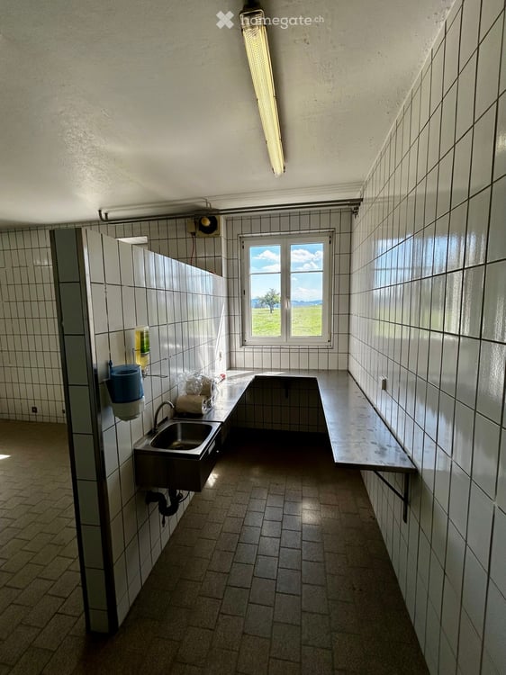 Vielseitig nutzbare Gewerbe Objekt 4