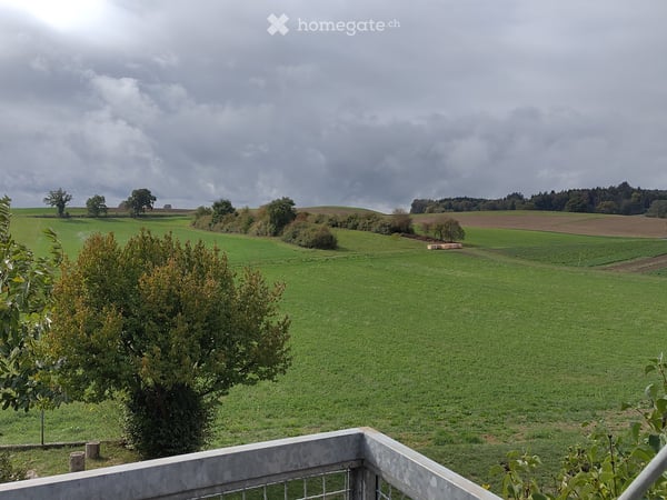 Ruhige Wohnung mit Top-Aussicht in Münchenbuchsee 5