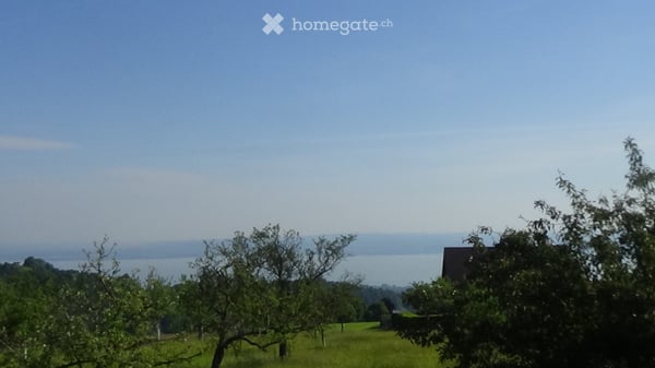 Im Grünen: Garten. öV 8 min. Bodensee-Blick 4
