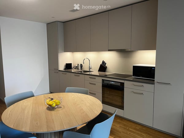 Moderne 3.5-Zimmer-Wohnung in Luzern ab sofort zu vermieten 2