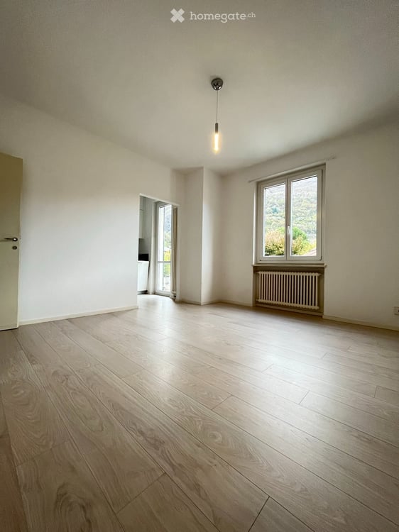 Affittasi appartamento 2.5 locali rinnovato a Sementina 1