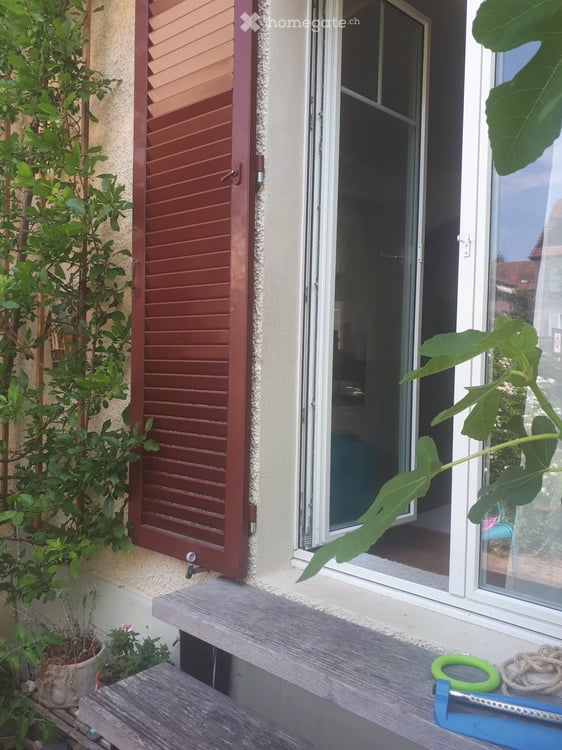 WG Zimmer mit Garten 1
