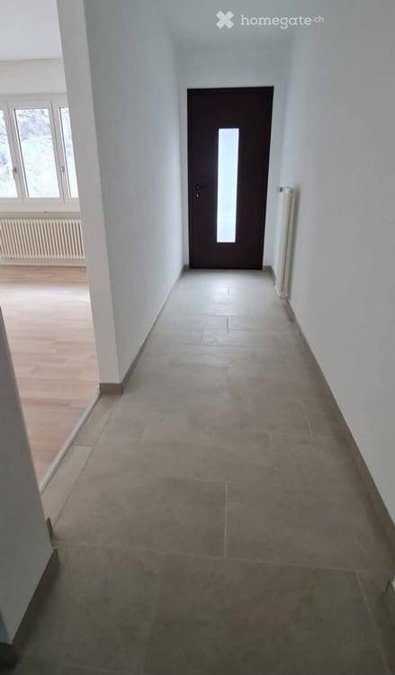 Faido (Chiggiogna)- affittasi appartamento 2 locali 2