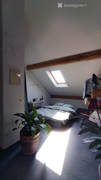 2.5- Zimmerwohnung 3